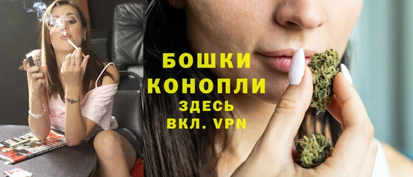 молекула духа Белокуриха