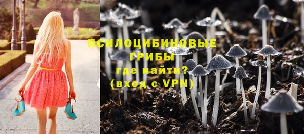молекула духа Белокуриха