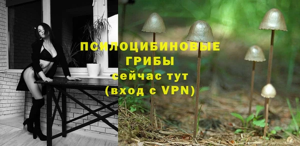 молекула духа Белокуриха