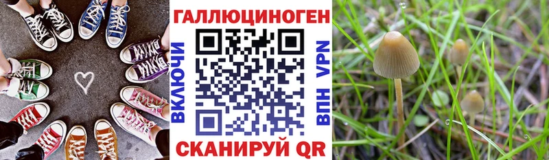 Псилоцибиновые грибы Psilocybine cubensis OMG сайт Вуктыл